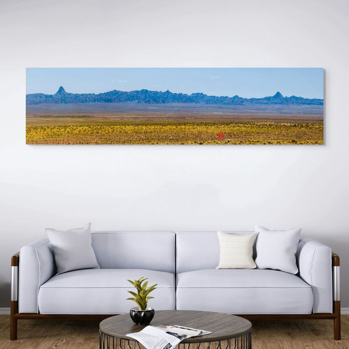 Арц Богд уул