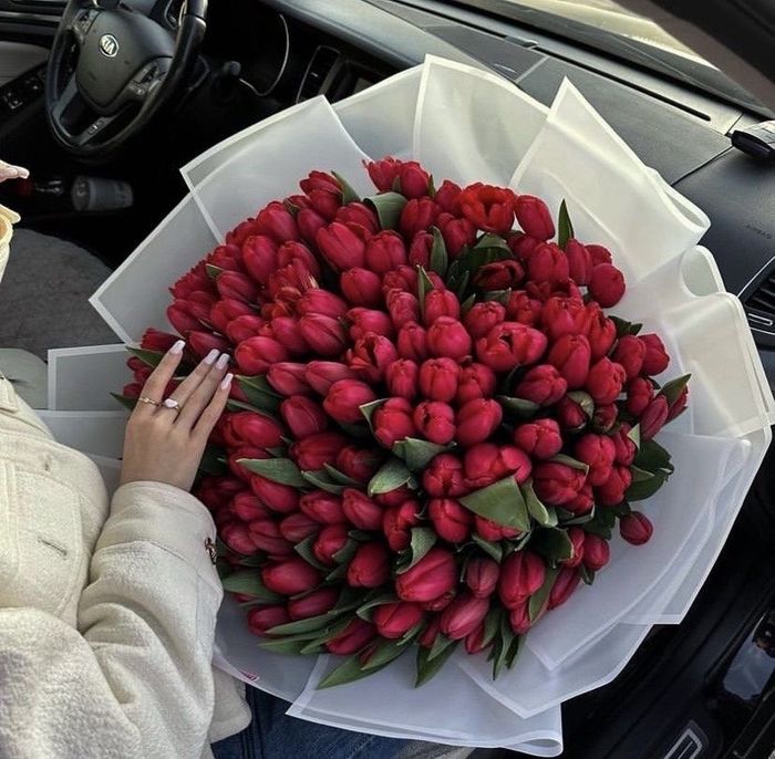 Голланд алтанзул улаан