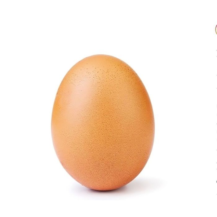 Өндөг Орос 1ш