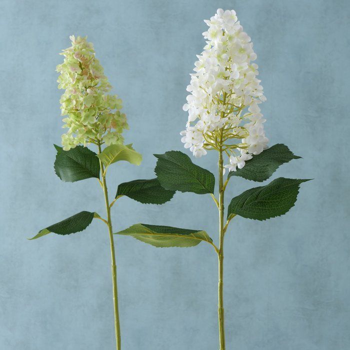 Flower 1sh