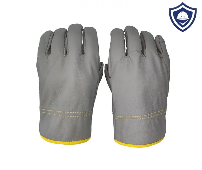 Арьсан ажлын бээлий