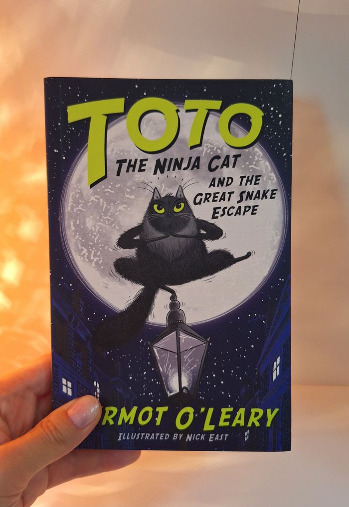 Toto the Ninja Cat 