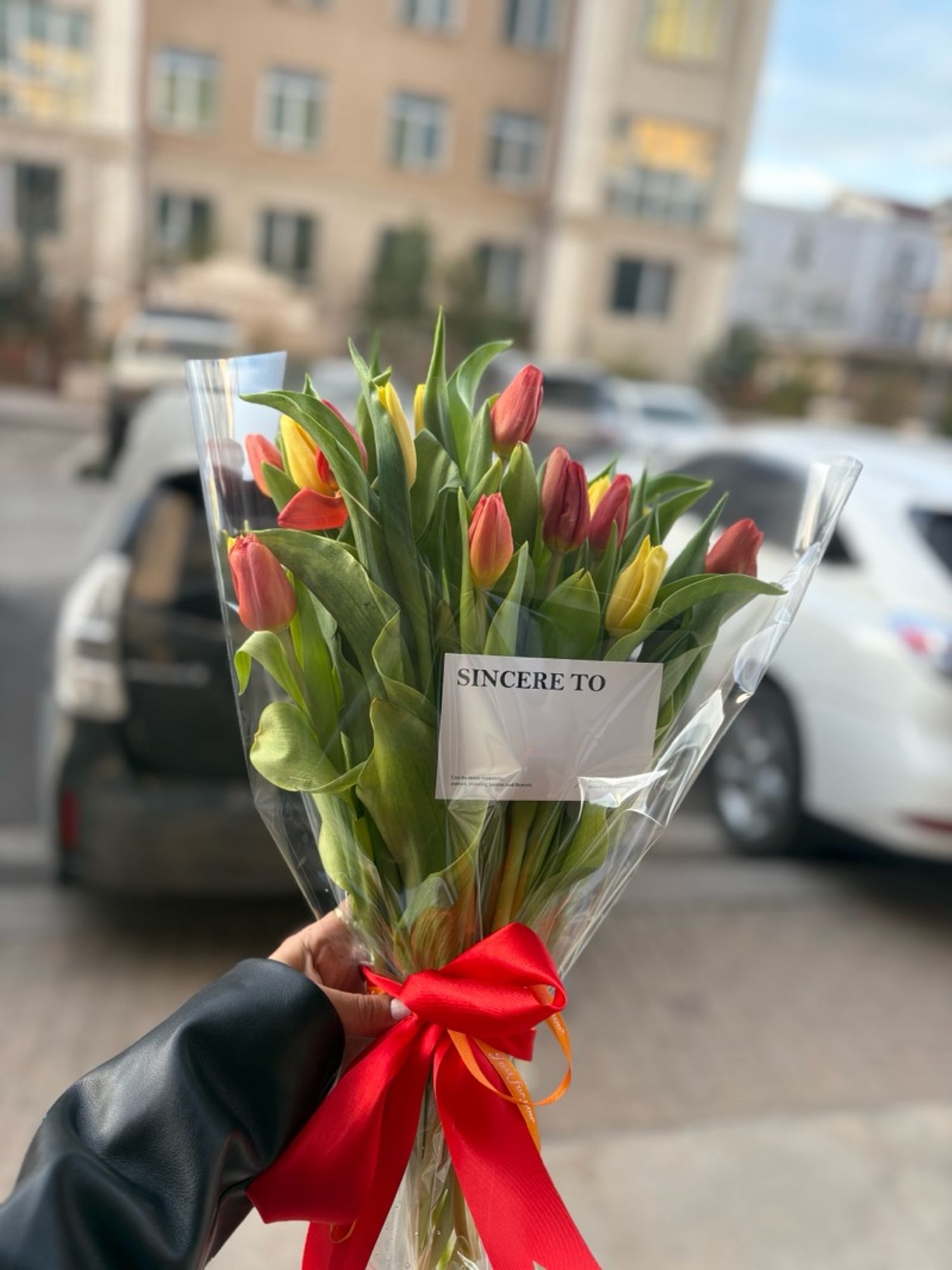 Голланд алтанзул холимог