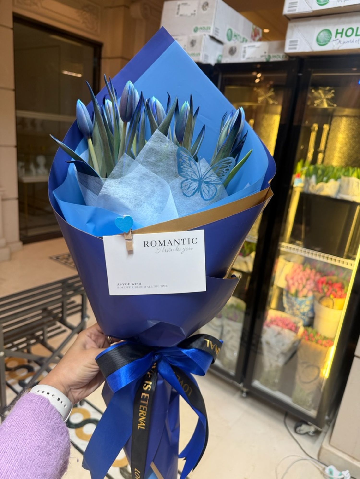 Голланд алтанзул цэнхэр