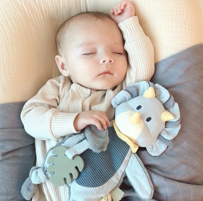 Dino Baby Lovey