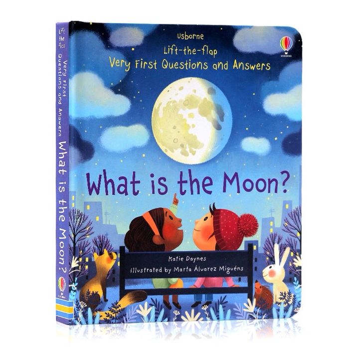 What is the MOON?