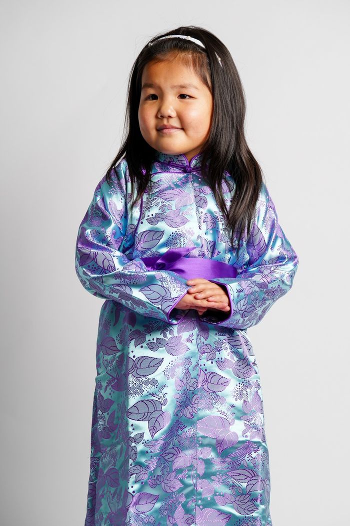 Навчин хээтэй торгон дээл