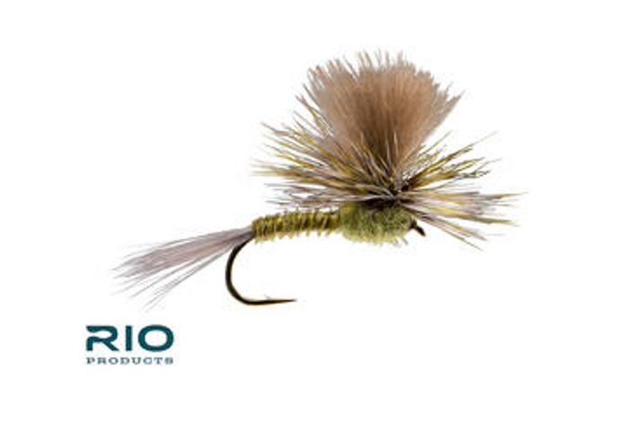 Green Drake Parachute Green 10