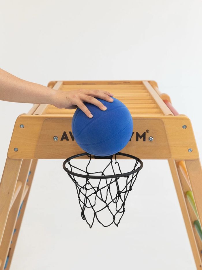 Little basketball hoop