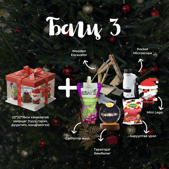 Шинэ жилийн бэлгийн БАГЦ 3