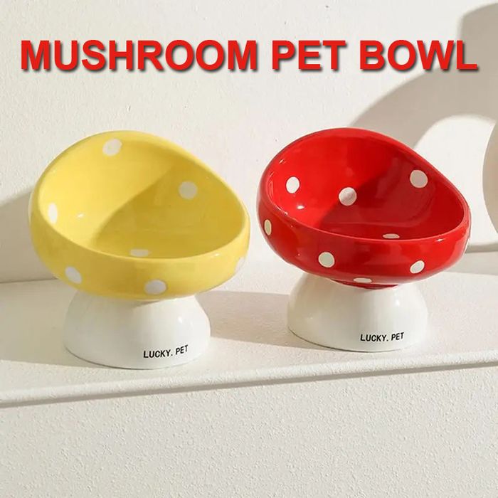 Mushroom хэлбэртэй шаазан аяга