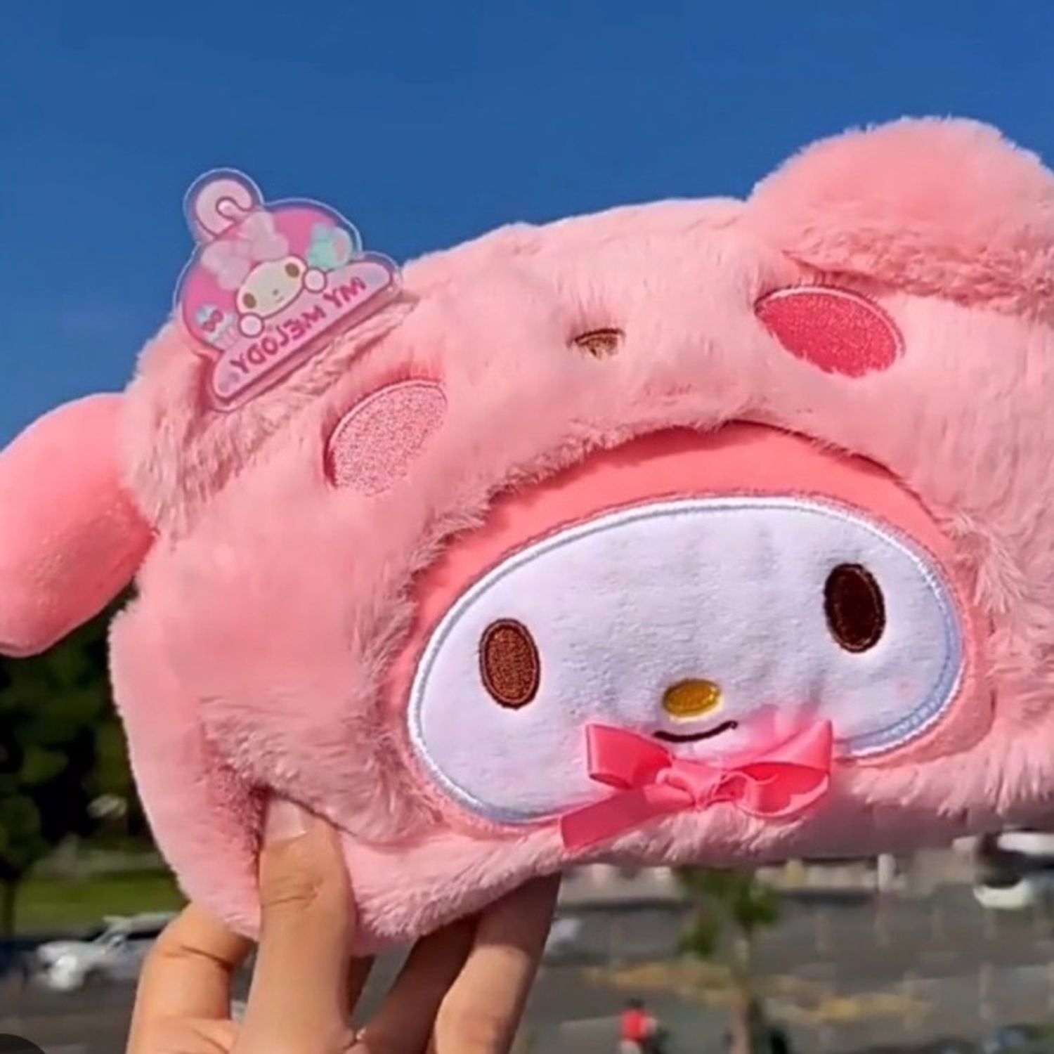 Үслэг кошлок