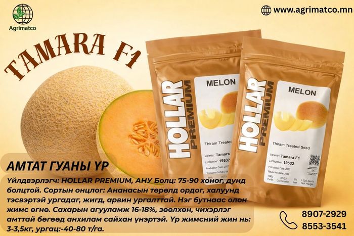 Амтат Гуа /Тамара/ 1000ширхэг
