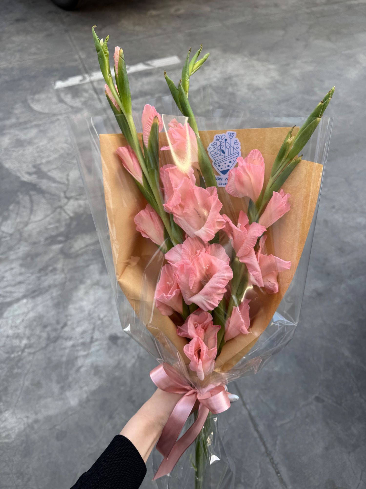 https://cdn.zochil.shop/f93b1f8c-fba5-42e7-9bbe-e364a68c766f_t1500.jpg