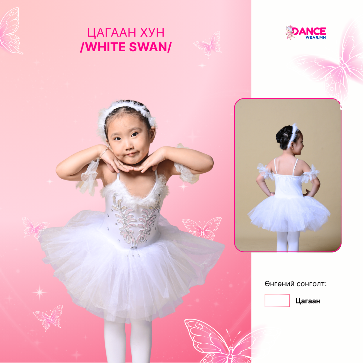 Цагаан хун/white swan/