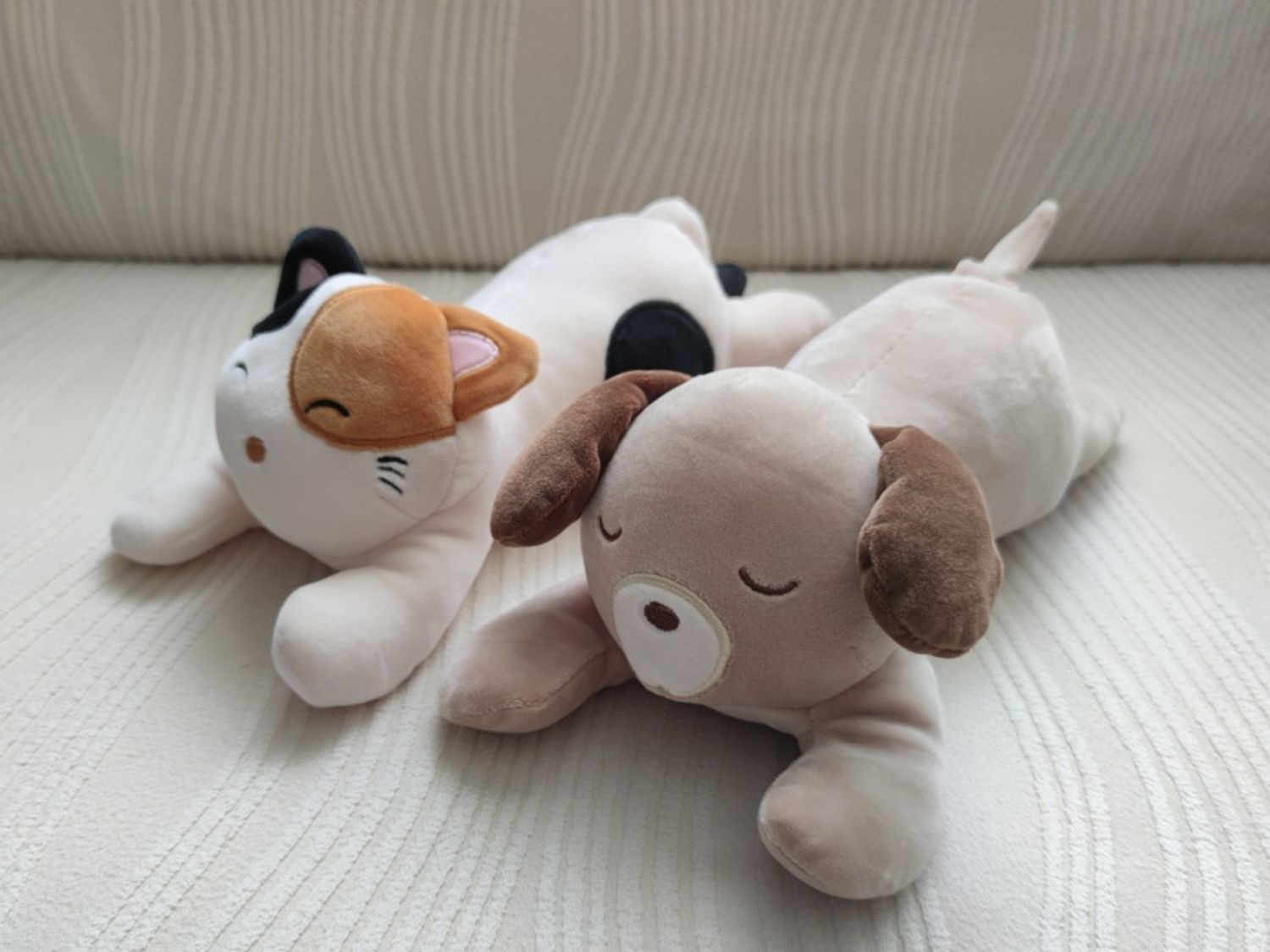 https://cdn.zochil.shop/fa08455e-cfd1-4869-80b1-48502f435e9c_t1500.jpg