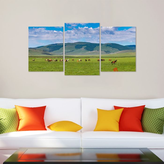 Халиун морьт