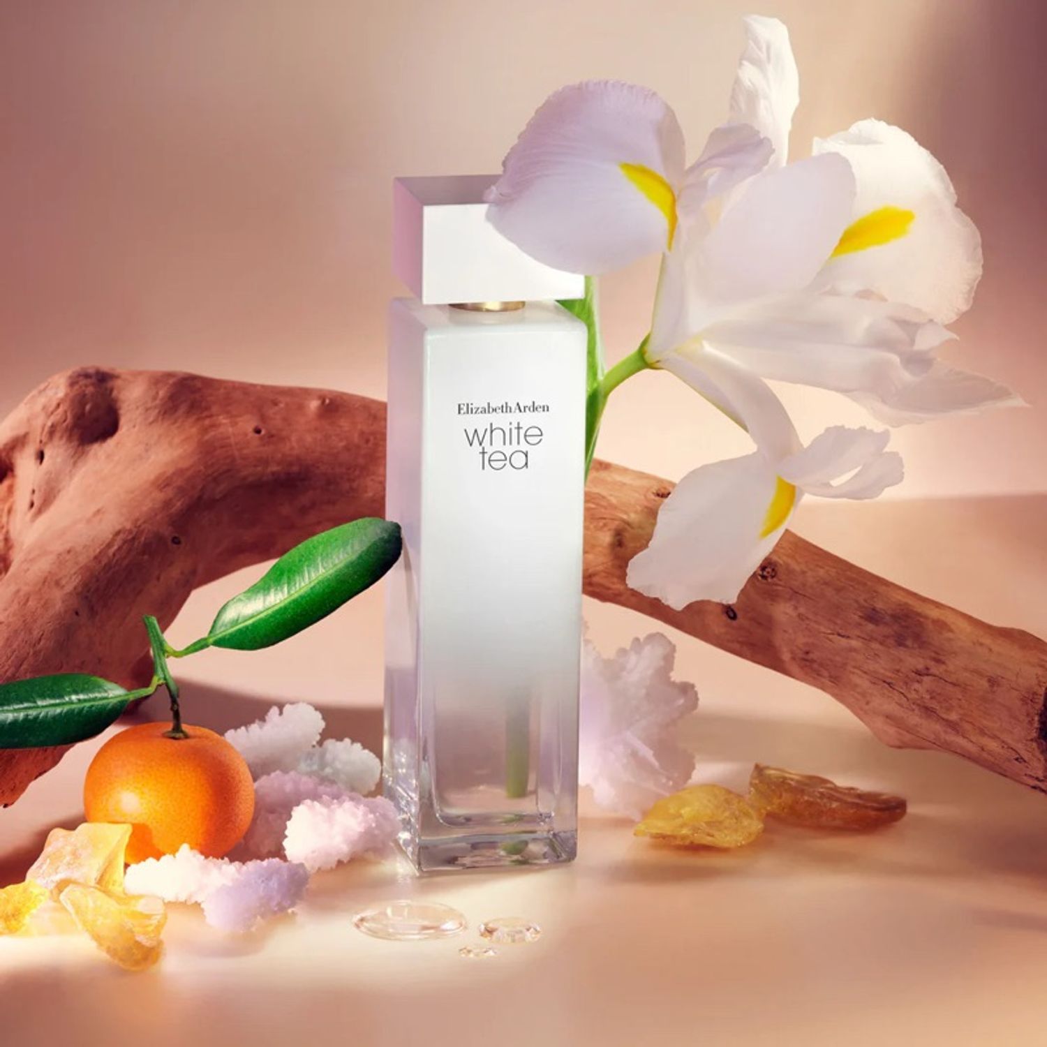 Elizabeth Arden White Tea EDT 100ml