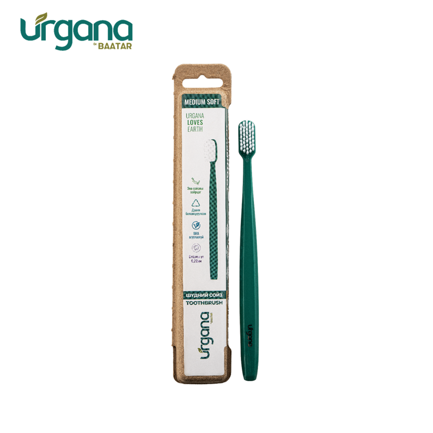 Том хүний сойз