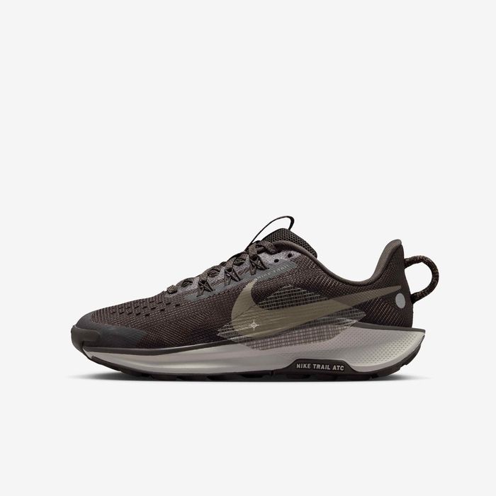 Nike Pegasus Trail 5