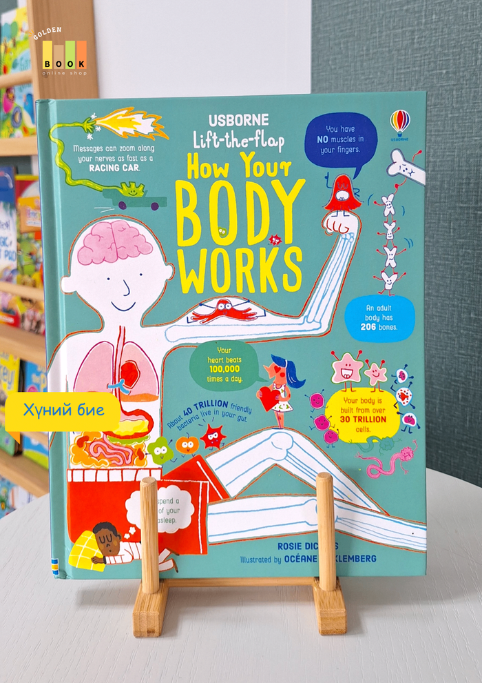 How Your Body Works