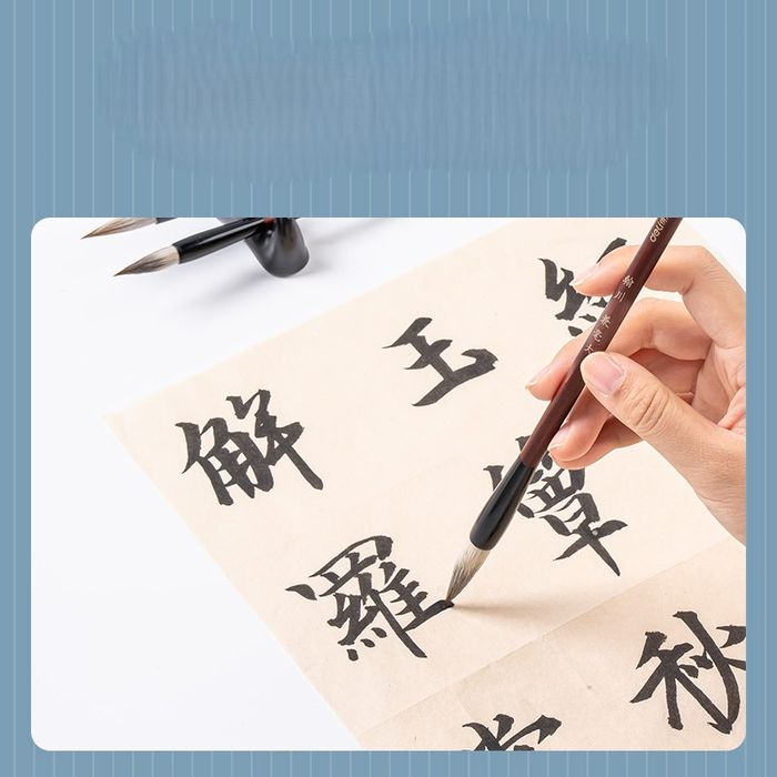 Бийр калиграф DL 6584 