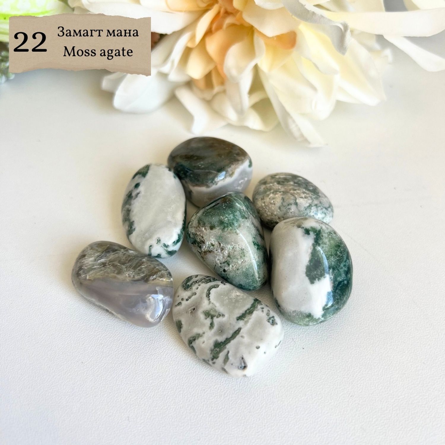 "Замагт мана"  өнгөлсөн чулуу