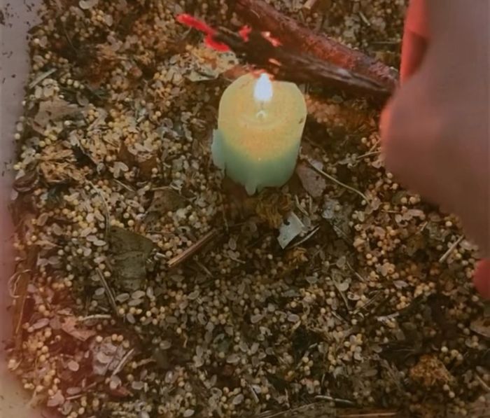 Зан үйлийн шившлэгт бэлдэц