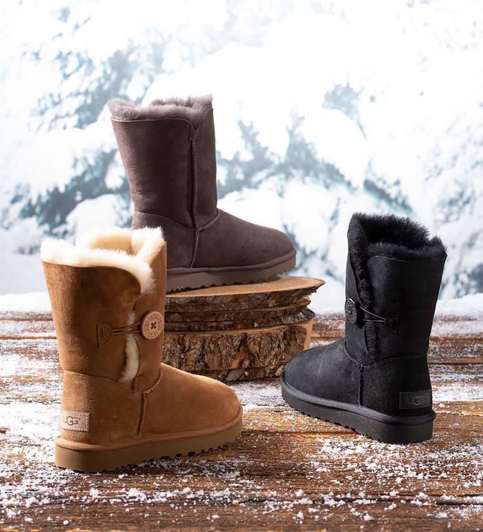 Нэхий бойтог