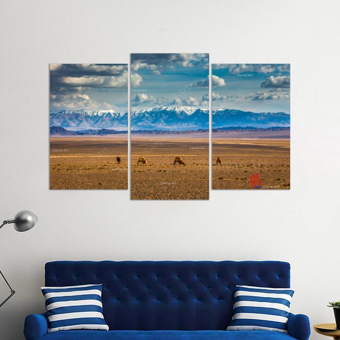 Баянцагааны нуруу