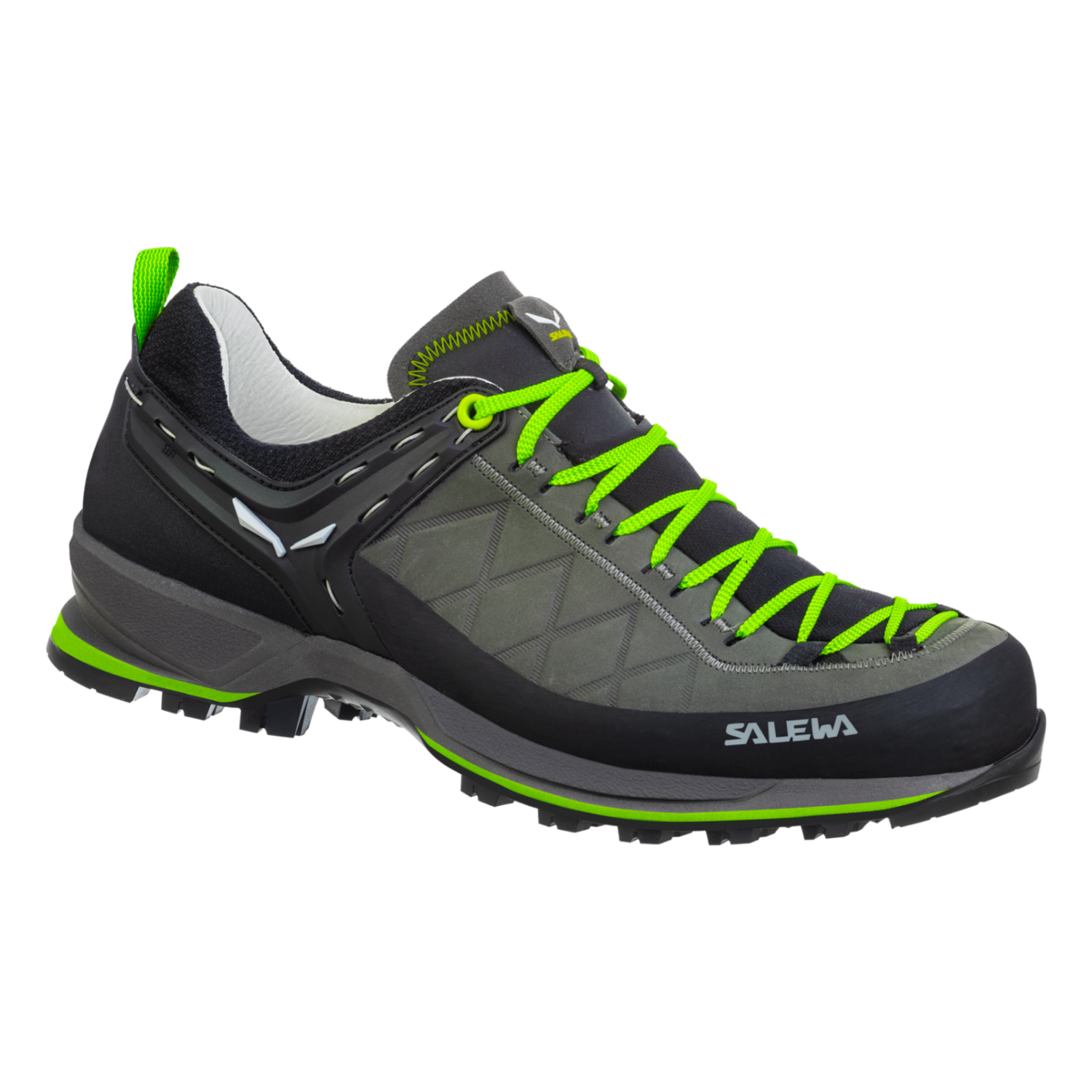 Salewa | Mountain Trainer Leather | Men
