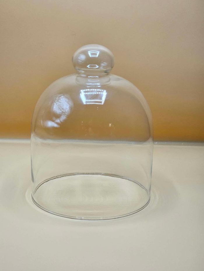 Шилэн таг, өндөр