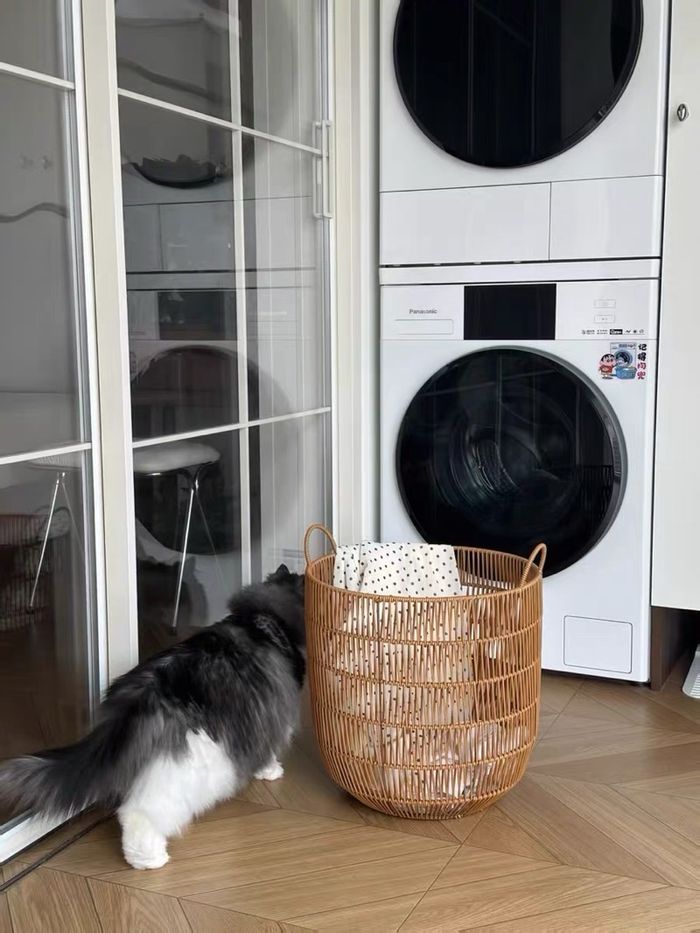 Төмөр рамтай сагс