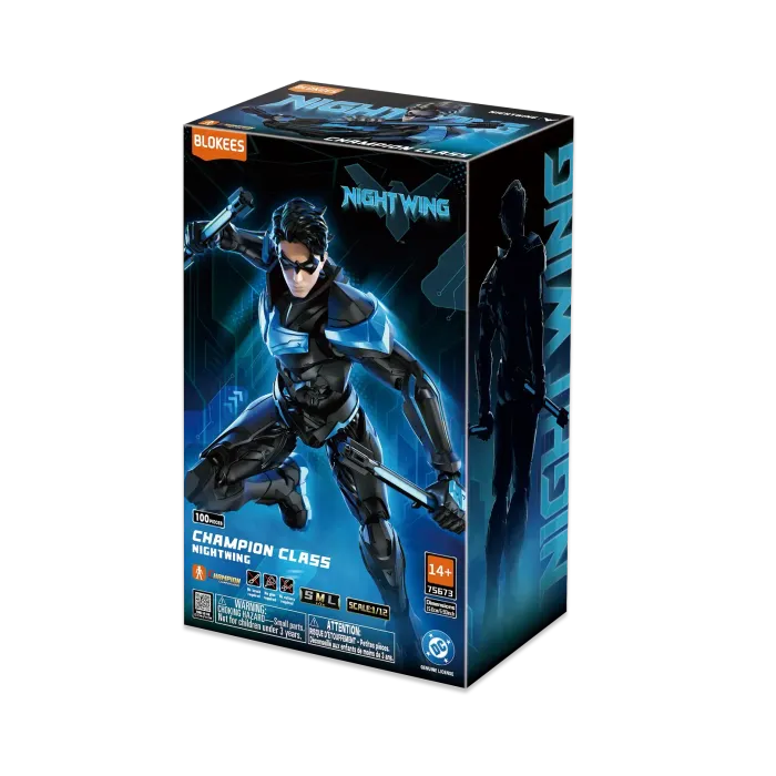 DC Champion Class Nightwing