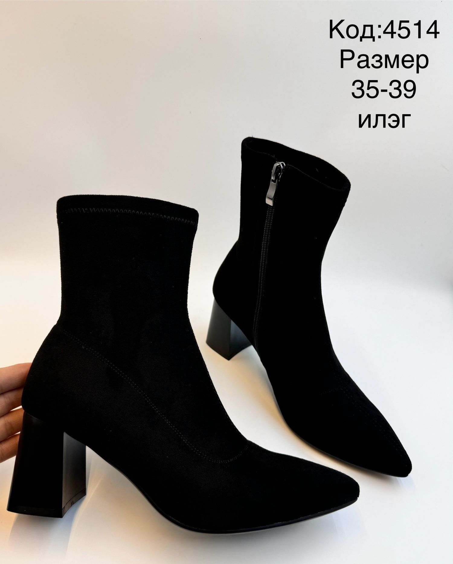 Богино түрийтэй илэг