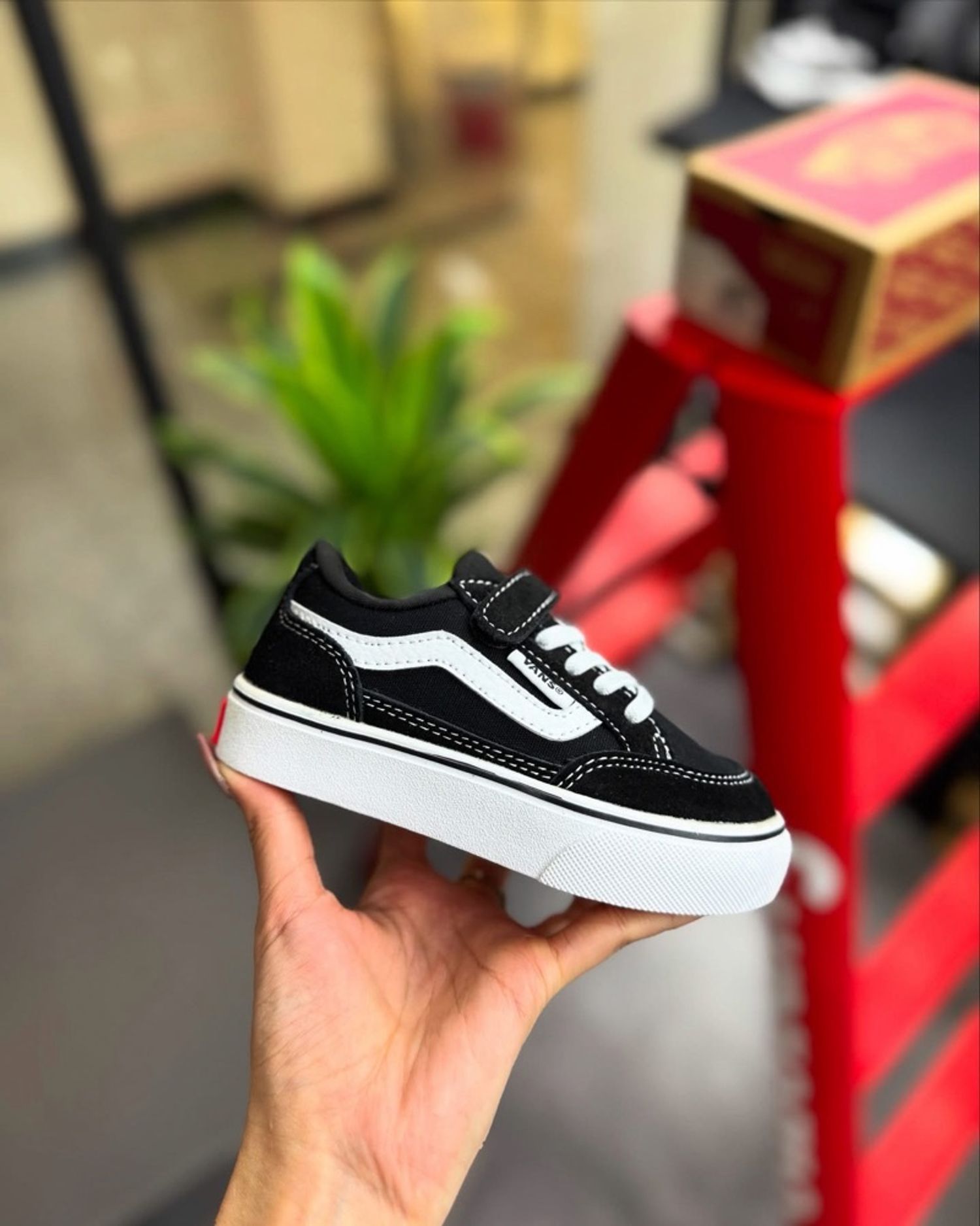 Vans The Classic
