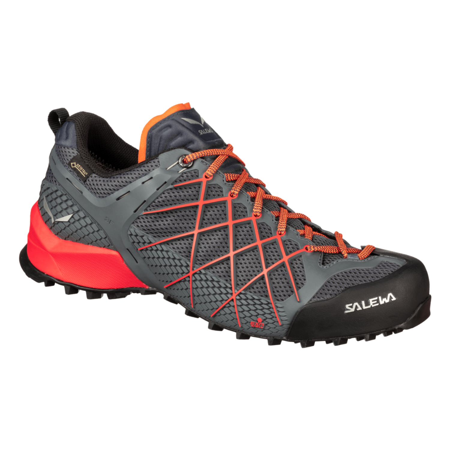 Salewa | Wildfire GTX | Men