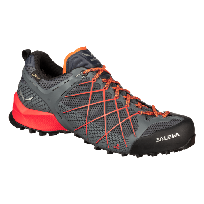 Salewa | Wildfire GTX | Men