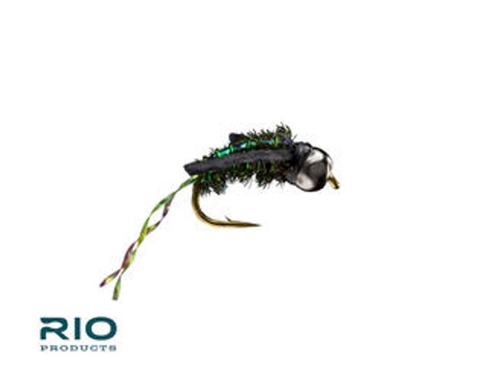 Water Boatman Peacock 14