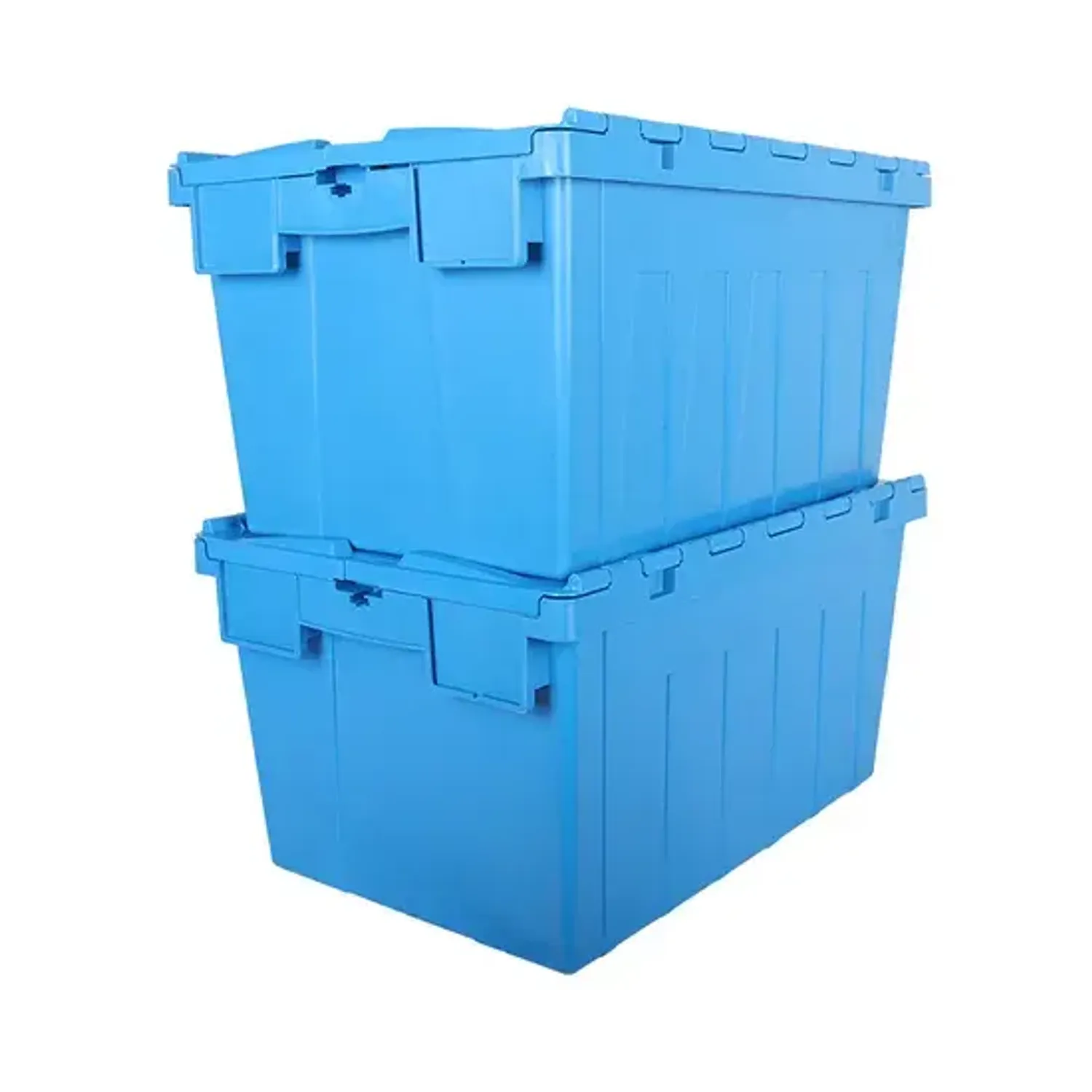 https://cdn.zochil.shop/ff1765d4-3336-4976-b8a8-f46391a99c3a_t1500.webp