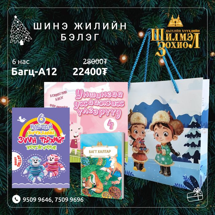 6 настай хүүхдийн шинэ жилийн бэлгийн багц А12