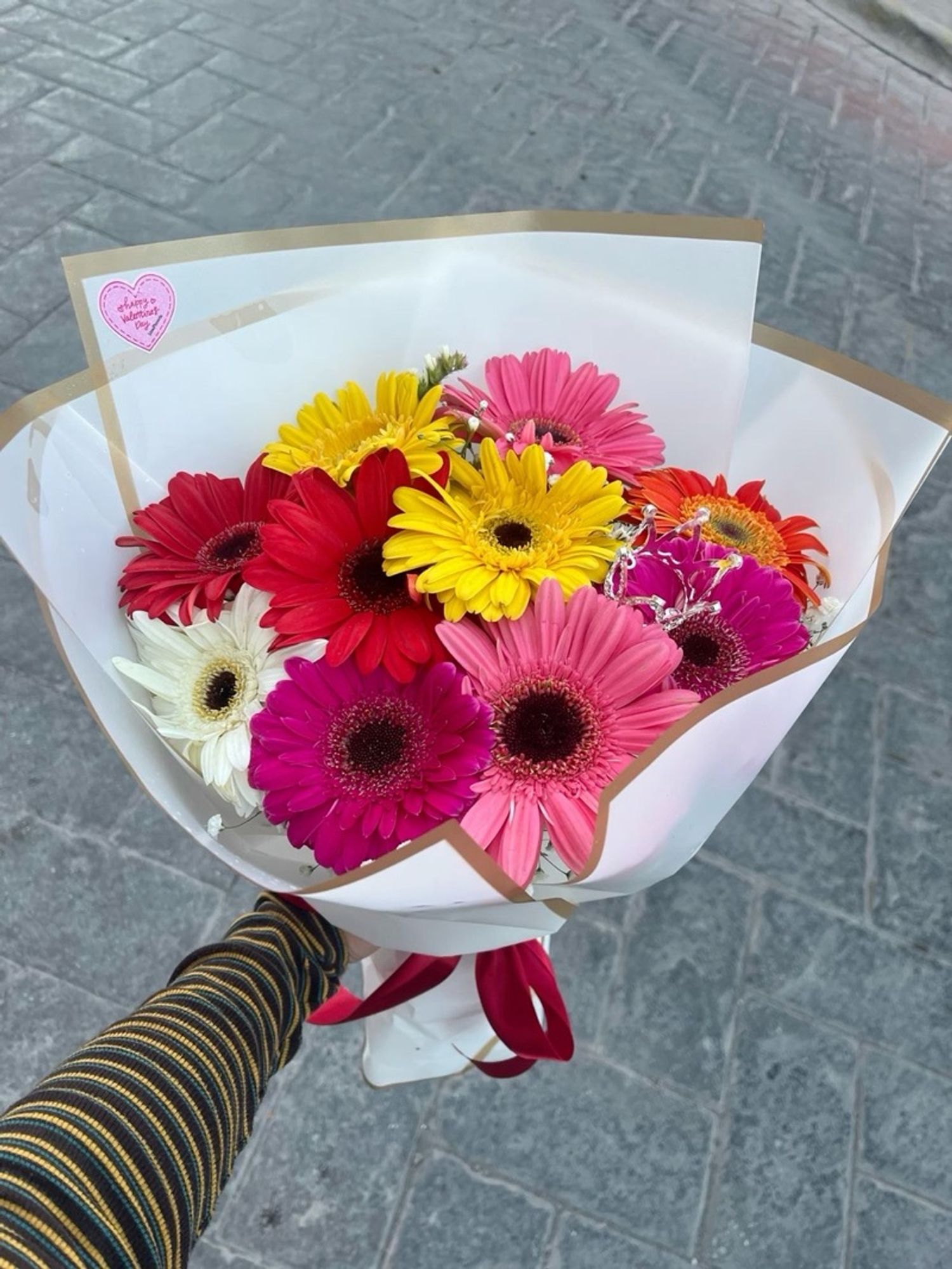 Голланд хонин нүдэн Гербера