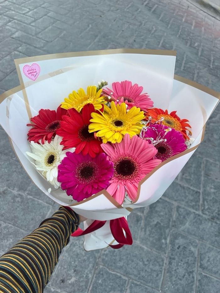 Голланд хонин нүдэн Гербера