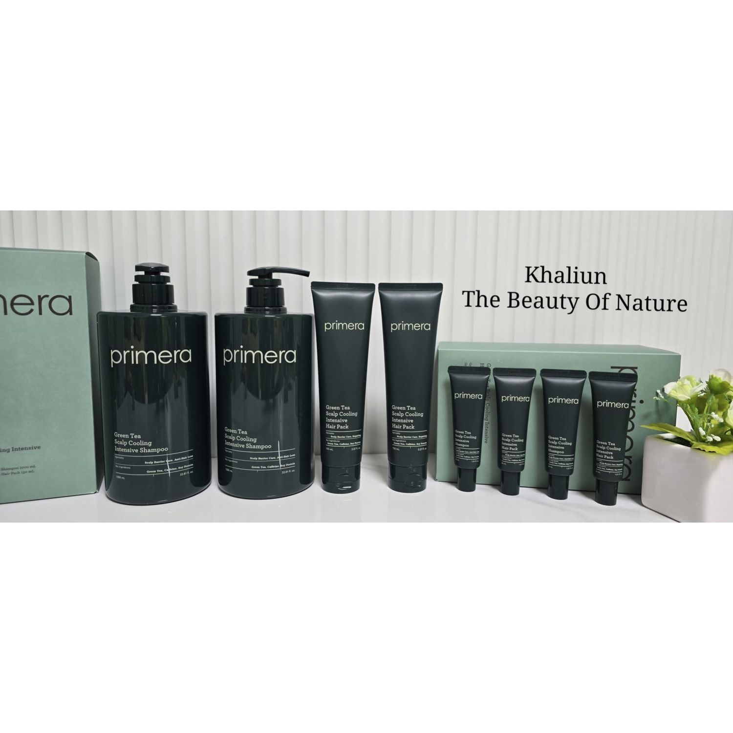 Эмчилгээний Шампунь 