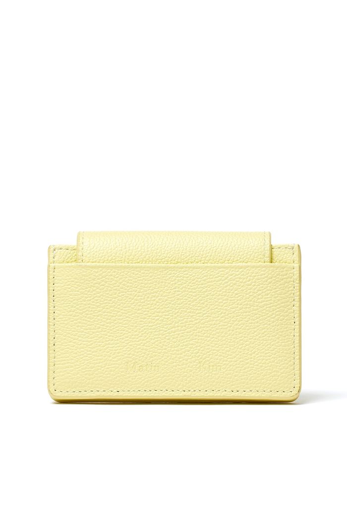 ACCORDION WALLET IN LIME
